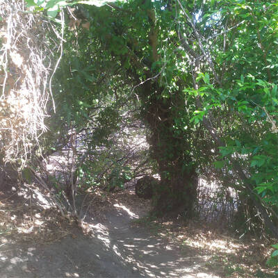 Plakias by locals | Rent a Vehicle at Plakias Crete  | ATV, Motorbikes, Buggies