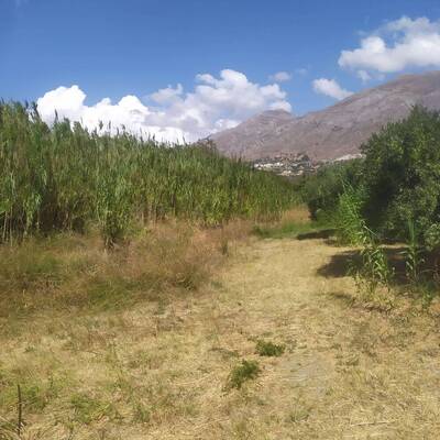 Plakias by locals | Rent a Vehicle at Plakias Crete  | ATV, Motorbikes, Buggies