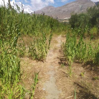 Plakias by locals | Rent a Vehicle at Plakias Crete  | ATV, Motorbikes, Buggies