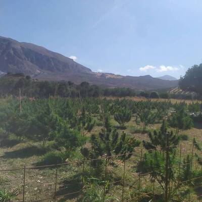 Plakias by locals | Rent a Vehicle at Plakias Crete  | ATV, Motorbikes, Buggies