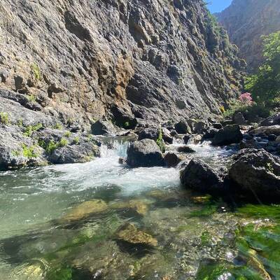 Plakias by locals | Rent a Vehicle at Plakias Crete  | ATV, Motorbikes, Buggies