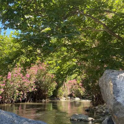 Plakias by locals | Rent a Vehicle at Plakias Crete  | ATV, Motorbikes, Buggies