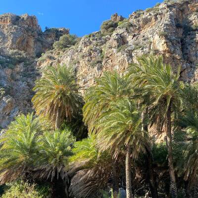 Plakias by locals | Rent a Vehicle at Plakias Crete  | ATV, Motorbikes, Buggies