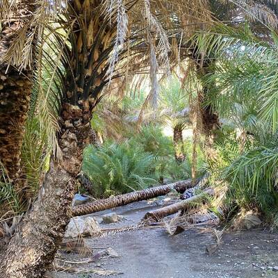 Plakias by locals | Rent a Vehicle at Plakias Crete  | ATV, Motorbikes, Buggies