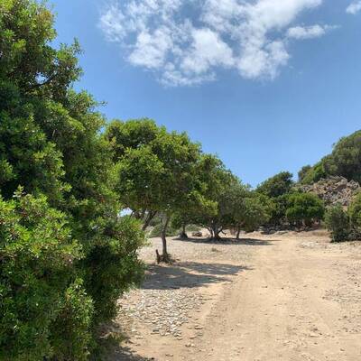 Plakias by locals | Rent a Vehicle at Plakias Crete  | ATV, Motorbikes, Buggies